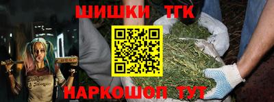 спиды Кингисепп