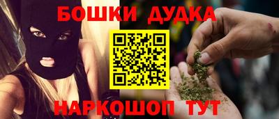 спиды Кингисепп