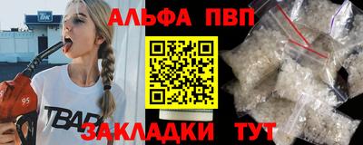 спиды Кингисепп