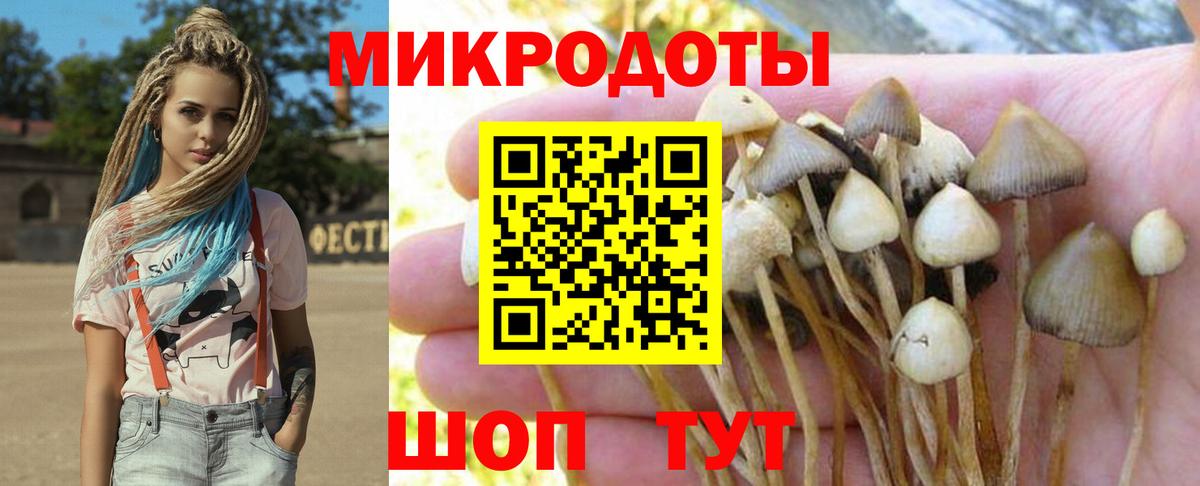 Красноярск  Галлюциногенные грибы GOLDEN TEACHER  Псилоцибиновые грибы мицелий  где можно купить наркотик  Вход с VPN 