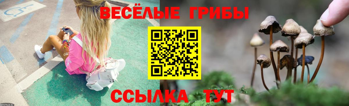 Псилоцибиновые грибы MAGIC MUSHROOMS Красноярск