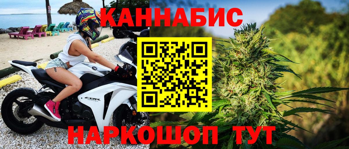 Бошки Шишки семена Красноярск
