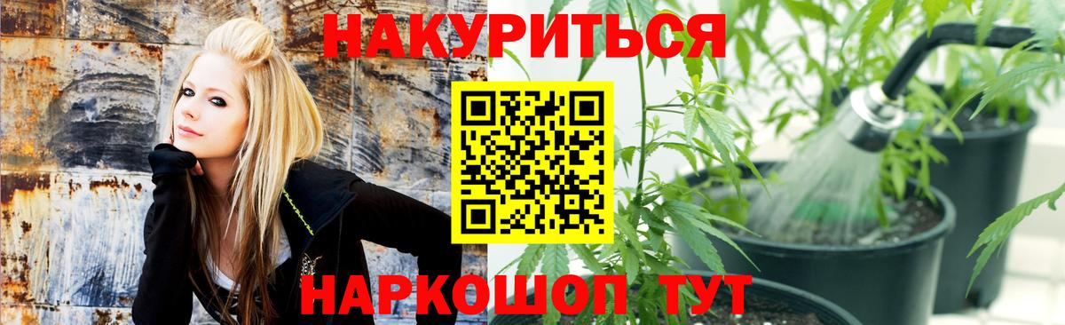 Канабис Bruce Banner  Бошки марихуана планчик  Вход с VPN  Красноярск 